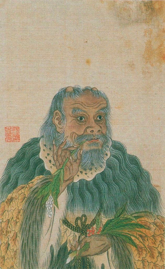 Shénnóng Běncǎo Jīng (神農本草經): El texto clásico de la fitoterapia china