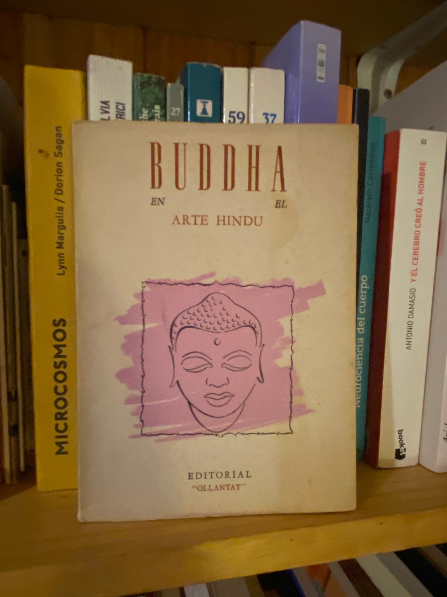 Buddha en el Arte Hindu
