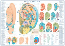 Lámina de Auriculomedicina