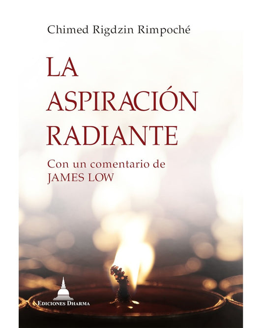 La aspiración radiante, Chimed Rigdzin Rimpoché