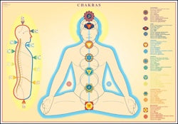 Lámina de Chakras