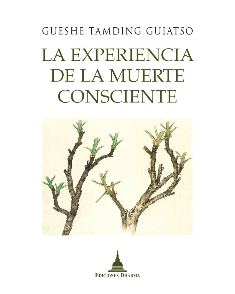 La Experiencia de la Muerte Consciente, Tamding Guiatso, Gueshe