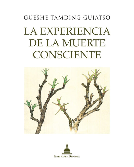 La Experiencia de la Muerte Consciente, Tamding Guiatso, Gueshe
