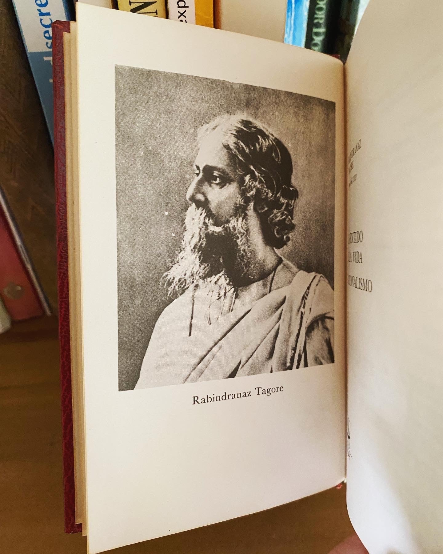 El sentido de la Vida, Rabindranath Tagore