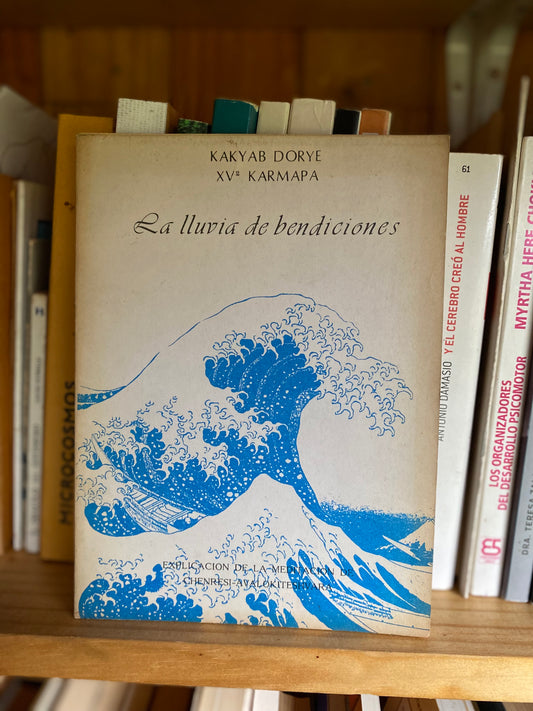 La lluvia de bendiciones, Kakyab Dorje - XV Karmapa