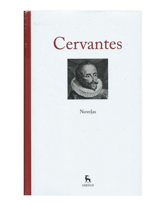 Cervantes de Saavedra, Novelas