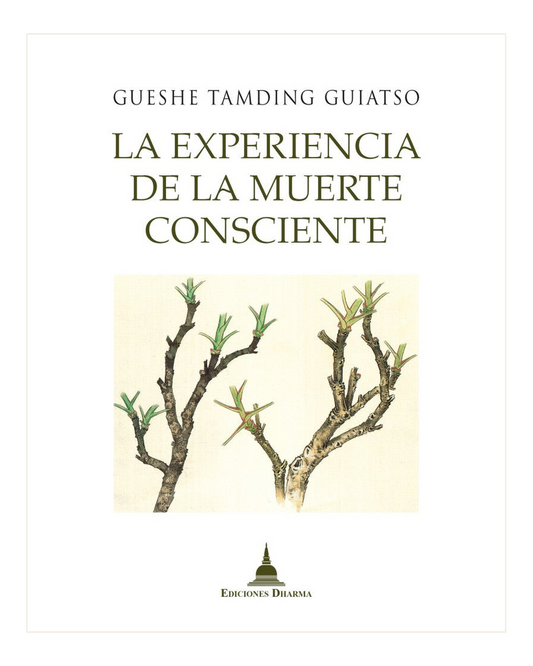 La Experiencia de la Muerte Consciente, Tamding Guiatso, Gueshe