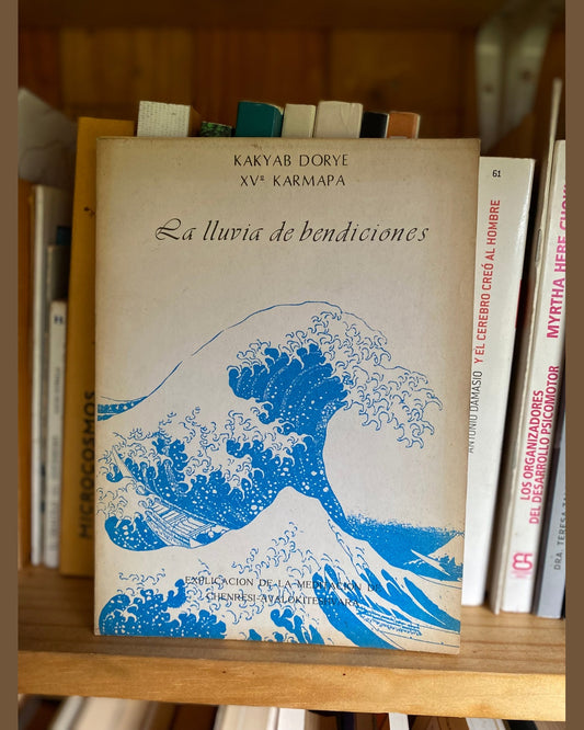 La lluvia de bendiciones, Kakyab Dorje - XV Karmapa