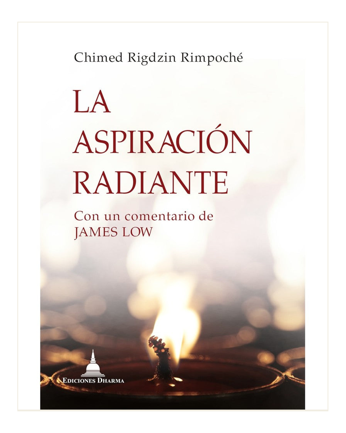 La aspiración radiante, Chimed Rigdzin Rimpoché