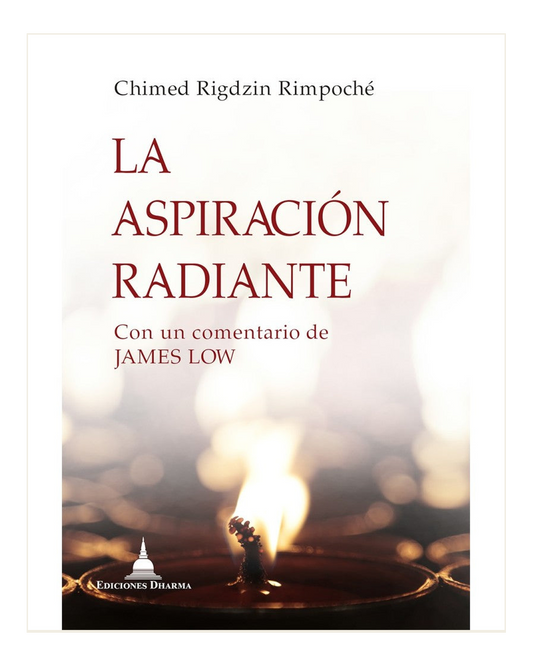 La aspiración radiante, Chimed Rigdzin Rimpoché